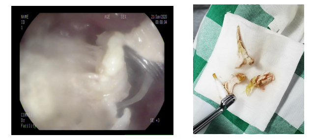 1610093063315837.png 微信截图_20210108154858.png