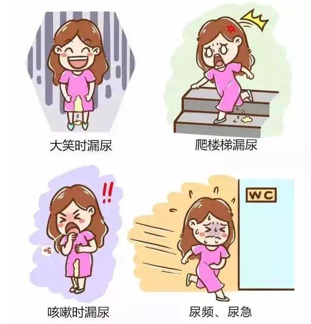 好消息｜关爱女性，关注盆底--盆底康复专科门诊开诊啦！