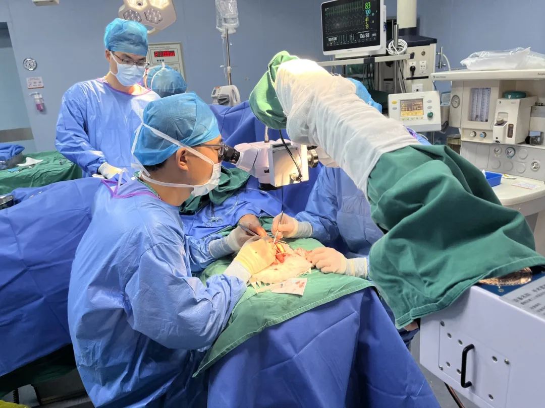 神奇 | 手指关节缺损 骨二科巧“搬”脚趾关节修复伤指