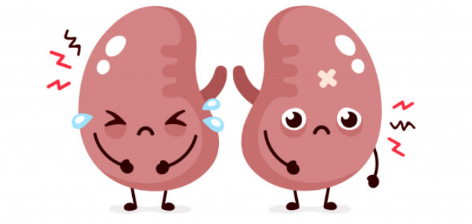 肾病科普系列（二） | 血肌酐：正常也不能大意的肾功能指标