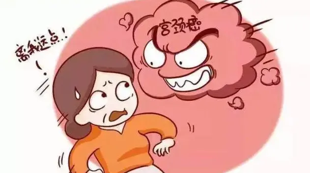 守护宫颈健康：宫颈癌筛查的“三早”法则